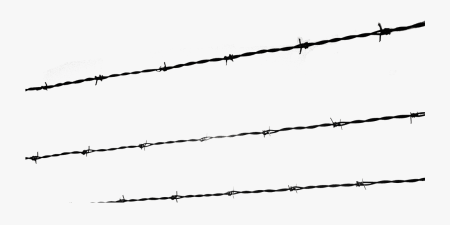 A Growing Evil - Barbed Wire, Transparent Clipart
