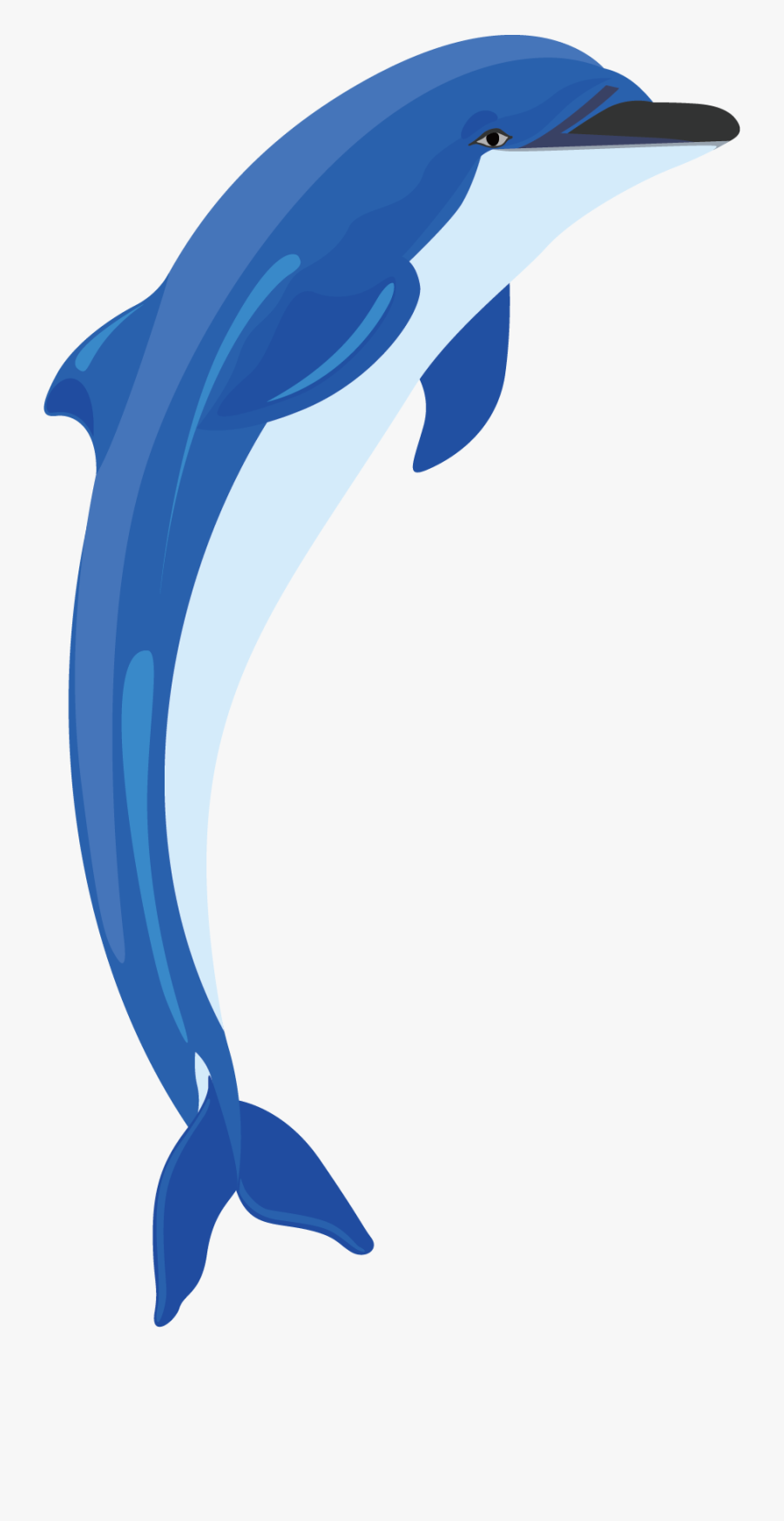Transparent Dolphin Clipart Free - Clipart Dolphin, Transparent Clipart