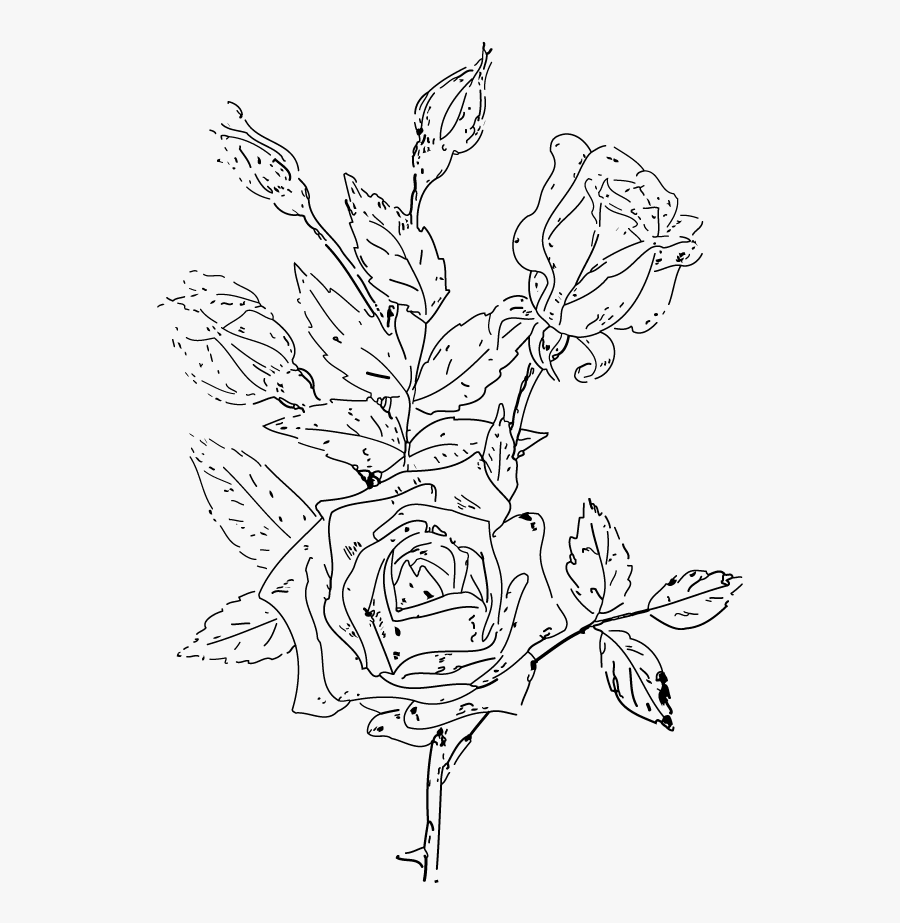 Download Victorian Rose Clipart - Line Art, Transparent Clipart