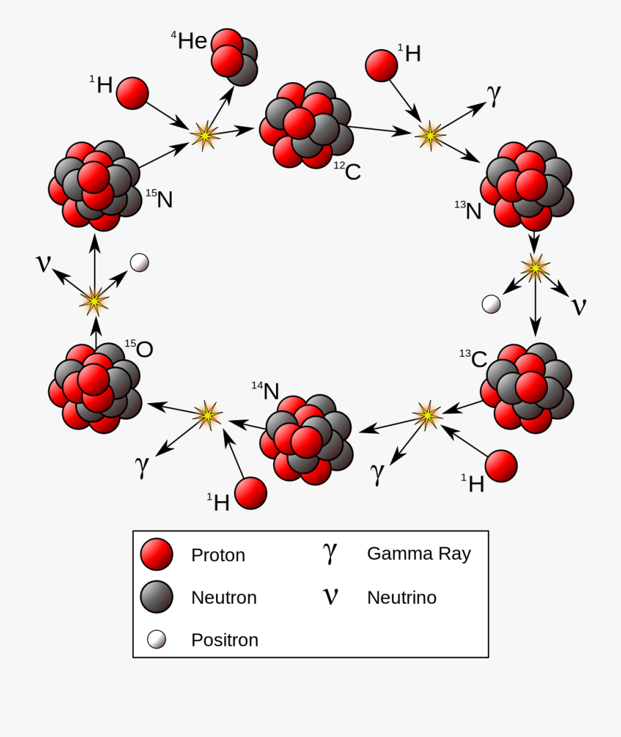 Cno Cycle, Transparent Clipart