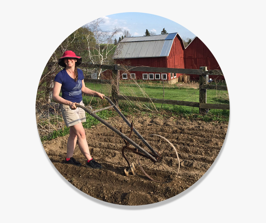 Farm, Transparent Clipart