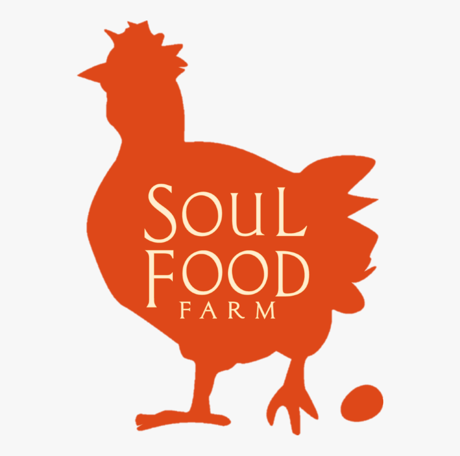 Alexis Koefoed, Grazing For Change Speaker, Holistic - Soul Food, Transparent Clipart