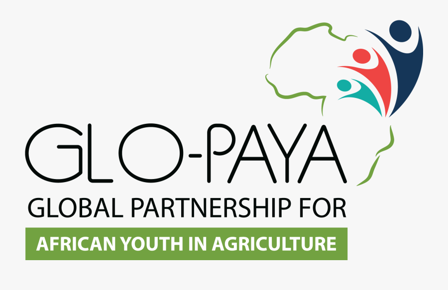 Graphic Design, Transparent Clipart