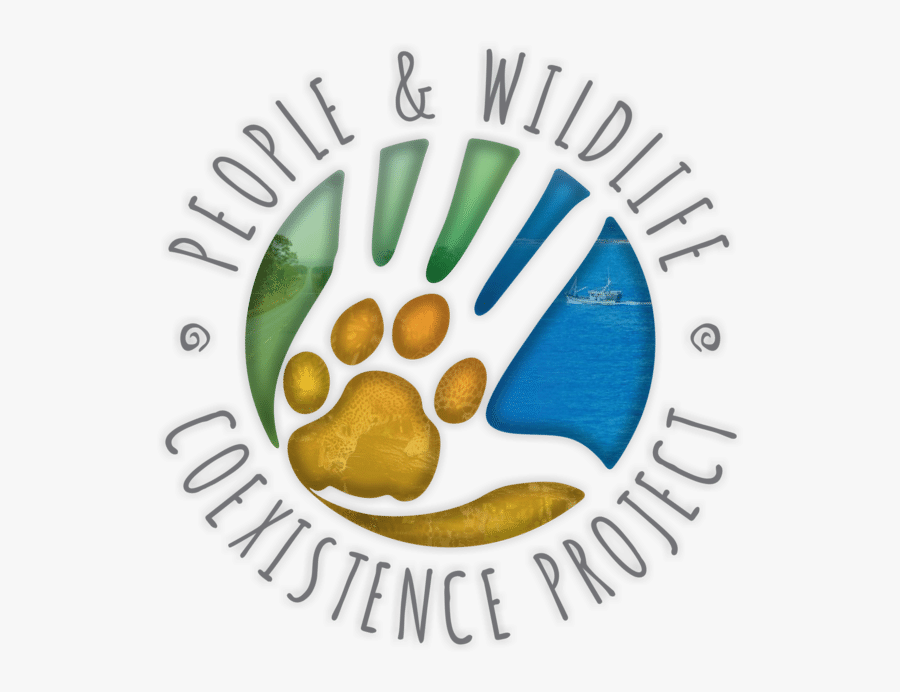 Developing A Unified Framework For Understanding Human - Graphic Design, Transparent Clipart