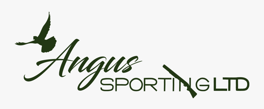 Amou Até O Fim, Transparent Clipart