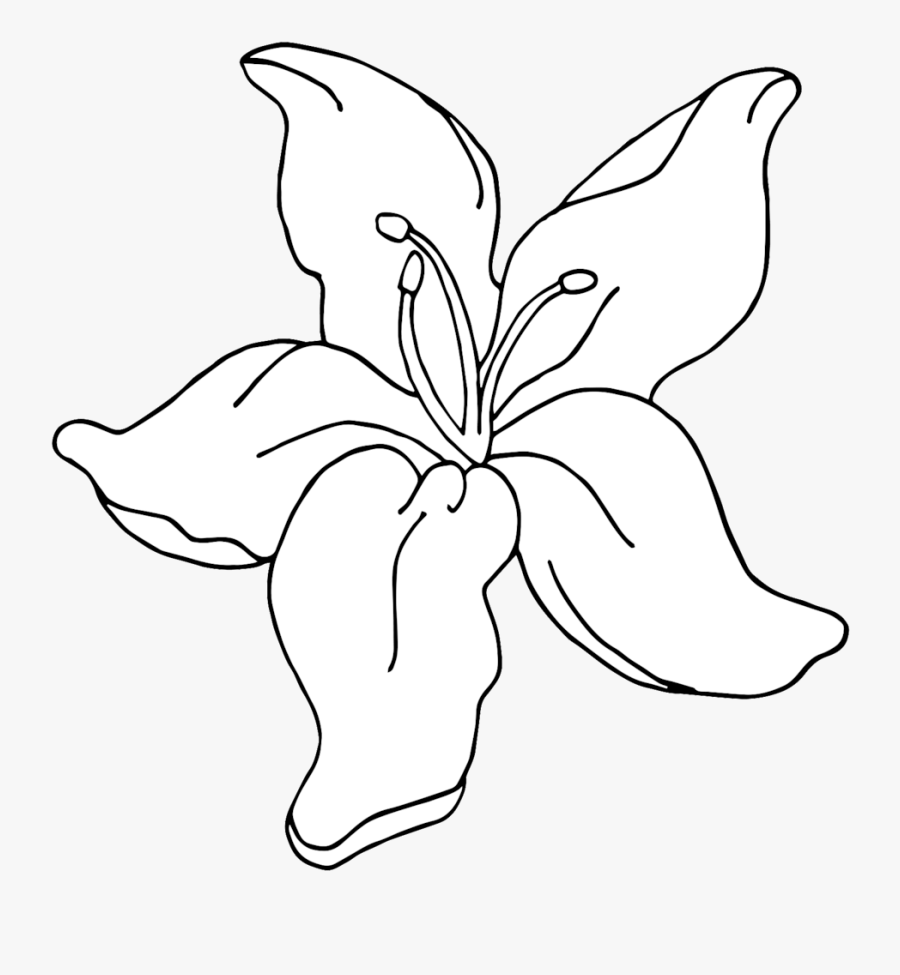 Png Transparent Stock At Getdrawings Com Free - Line Art, Transparent Clipart