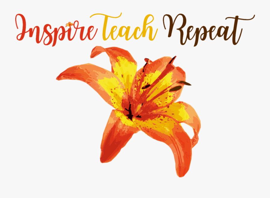 Orange Lily, Transparent Clipart