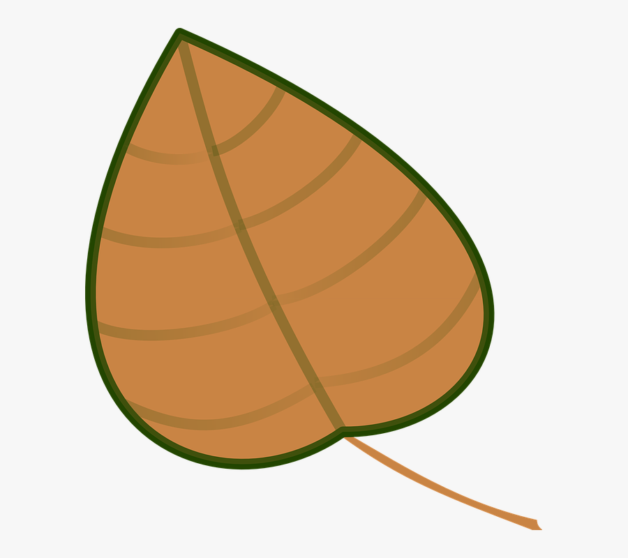Leaf, Brown, Design, Nature, Plant, Environment, Fresh, Transparent Clipart