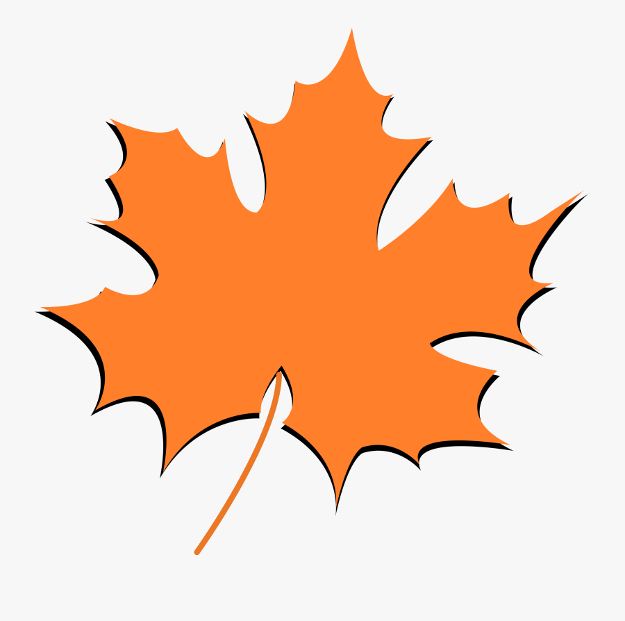 Floral Design, Transparent Clipart