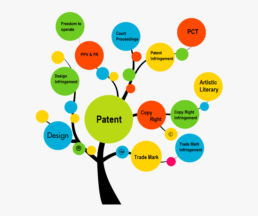 Ipr Management System - Web Designer Service, Transparent Clipart