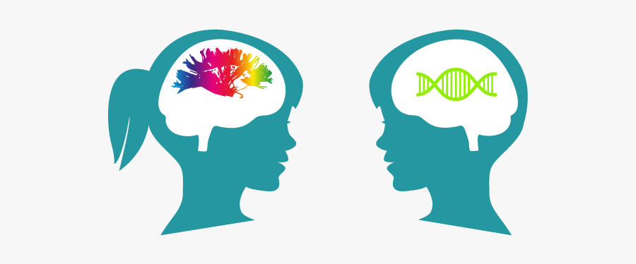 Mrc Cognition And Sciences - Transparent Cognitive Development Clipart, Transparent Clipart