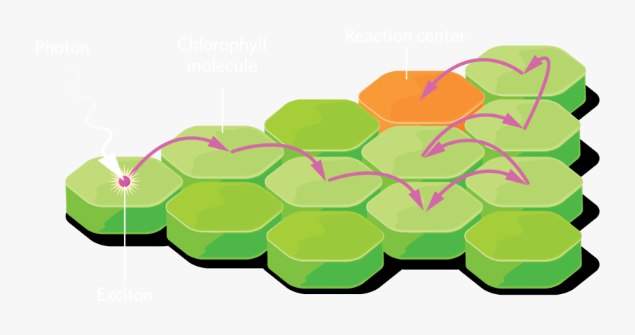 Diagram, Transparent Clipart