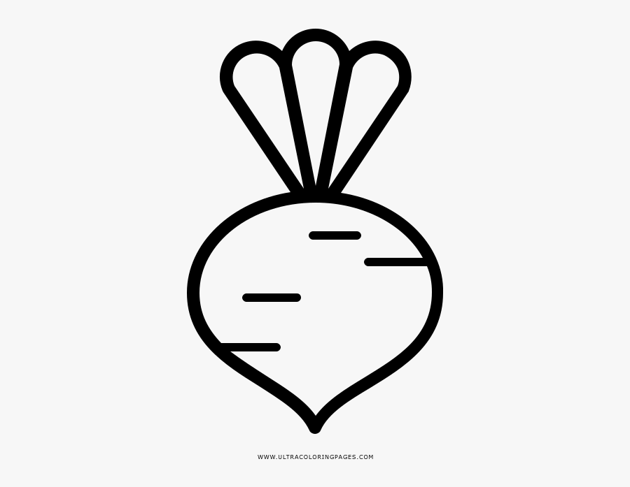 Beet Coloring Page, Transparent Clipart