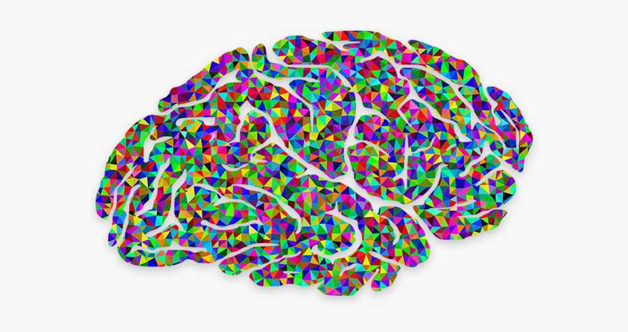 The Next Level In Your Meditation - Magnetite In Humans Brain, Transparent Clipart