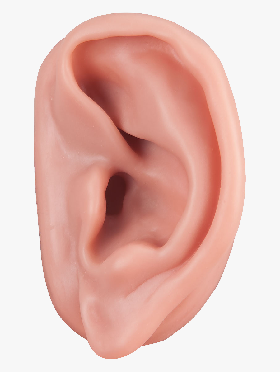 Ear Png, Transparent Clipart