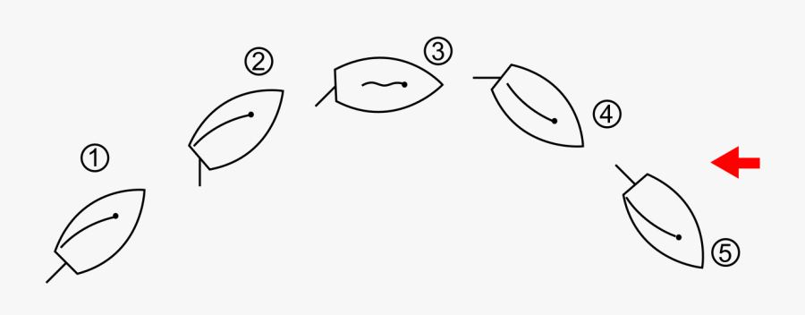 Virement De Bord Voile, Transparent Clipart