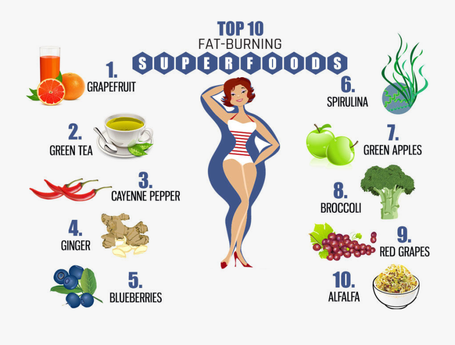 Http Fastslim Co Uk - 2009 Fall Fashion Trends, Transparent Clipart