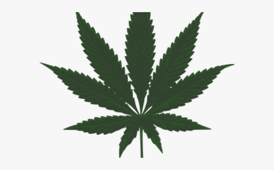 Marijuana Leaf Clipart, Transparent Clipart