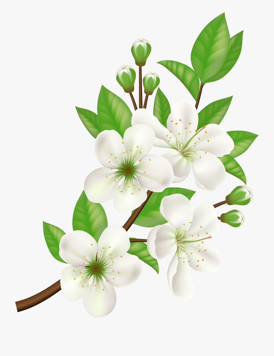 Royalty-free Computer Icons Flower - Jasmine Flower Vector Png, Transparent Clipart