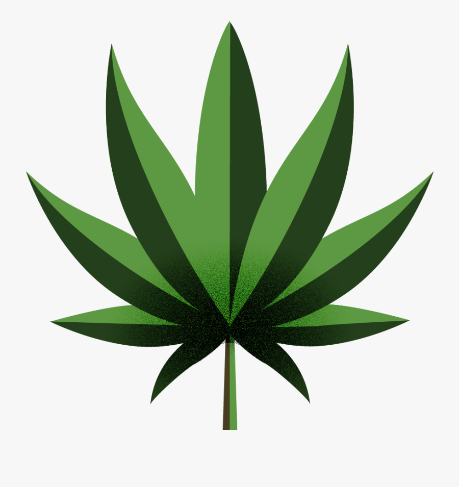 ด รา ฟ กัญชา, Transparent Clipart
