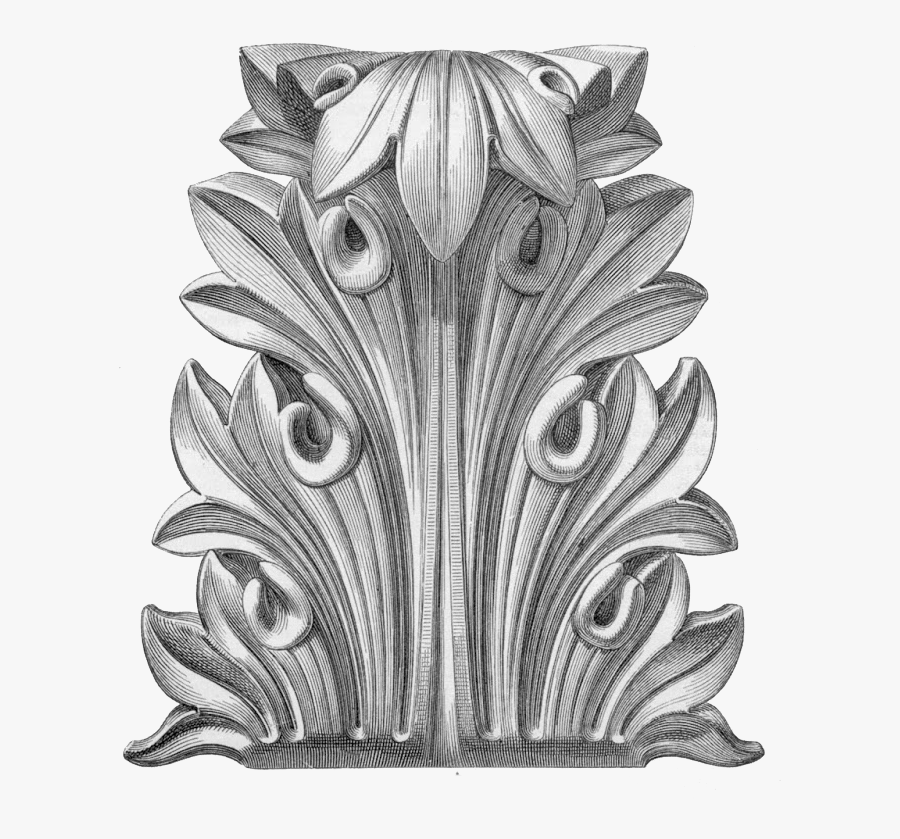 Acanthus Leaves For Detailing Wood Furniture And Cabinetry - Acanthus Architecture, Transparent Clipart