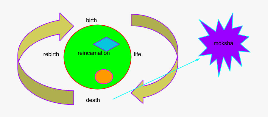 Circle, Transparent Clipart