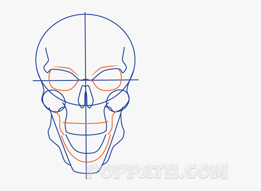 Skull, Transparent Clipart
