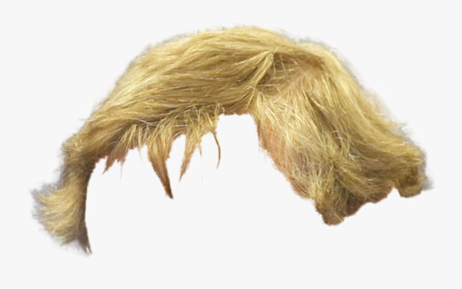 Transparent Blonde Wig Clipart - Blonde Hair Png Male, Transparent Clipart
