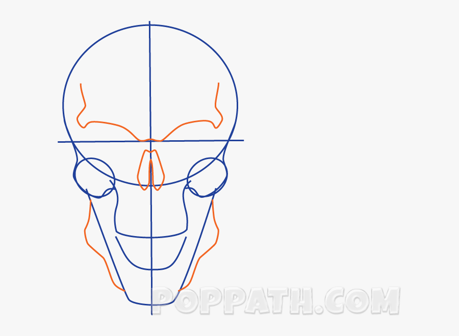 Skull, Transparent Clipart
