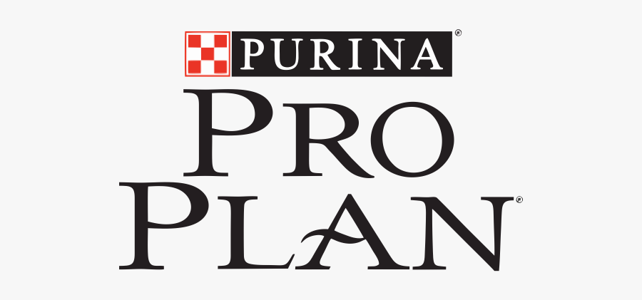 Human Action, Transparent Clipart