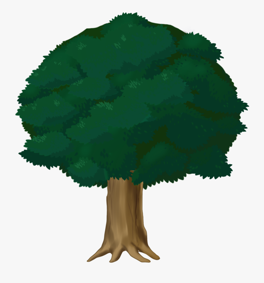 Christmas Tree, Transparent Clipart