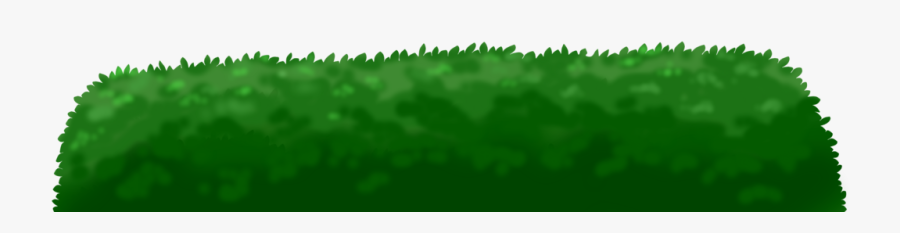 Grass, Transparent Clipart