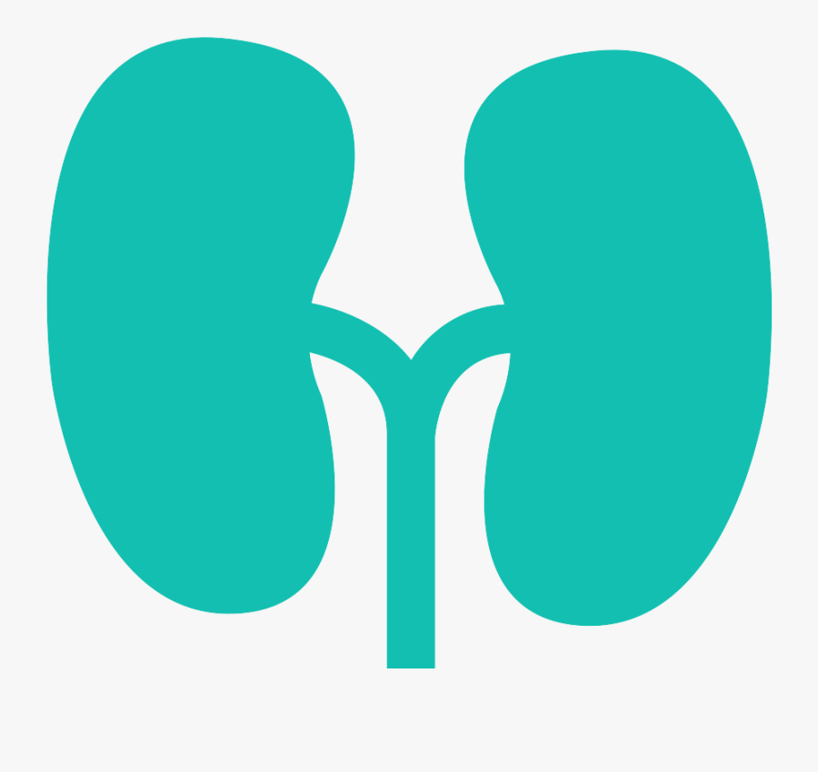 Kidney Panel Uk Health Screening - Circle, Transparent Clipart