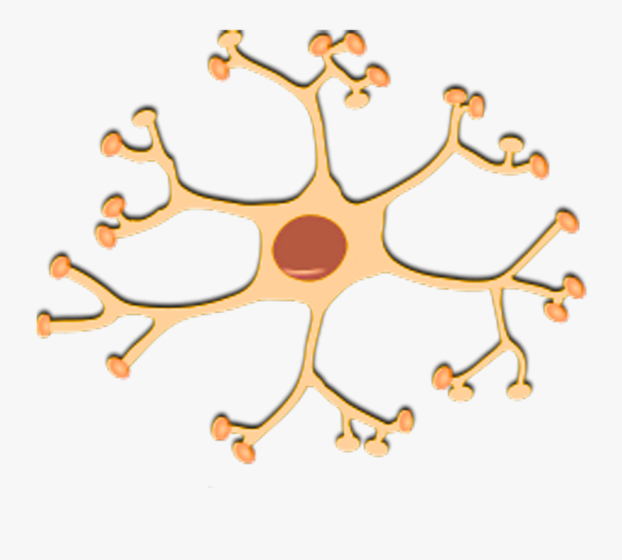 Nerve - Clipart - Nerve Clip Art, Transparent Clipart