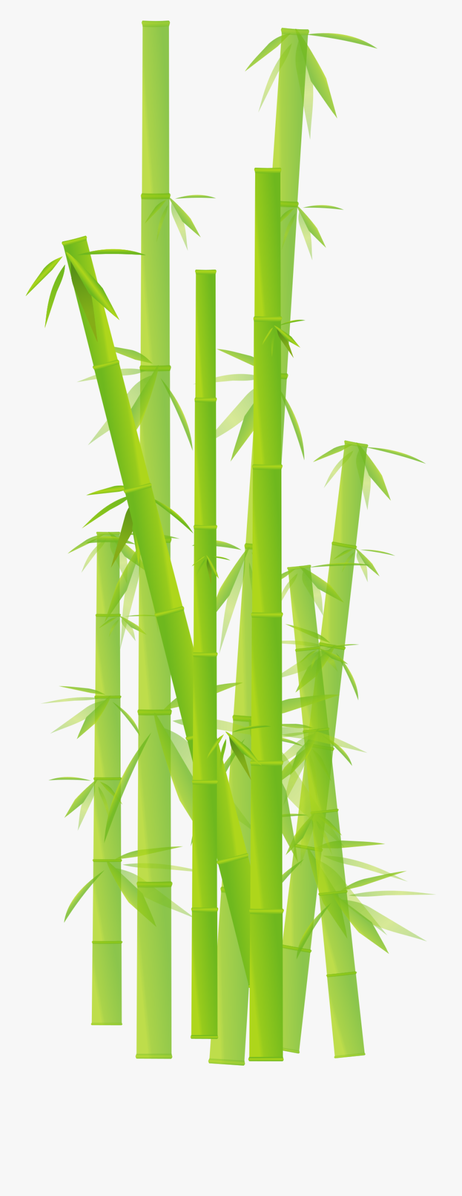 Collection Of Free Bamboo Vector Art - Transparent Background Bamboo Clipart, Transparent Clipart