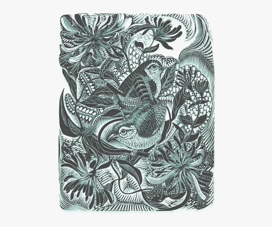 Visual Arts,paisley,motif - Drawing, Transparent Clipart