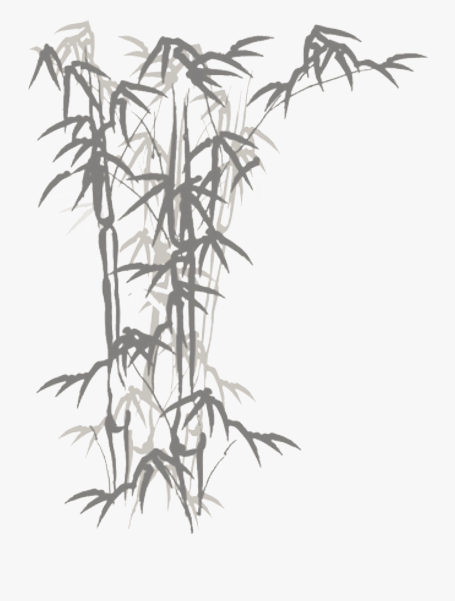 Bamboo Drawing Black And White - Bamboo Drawing, Transparent Clipart
