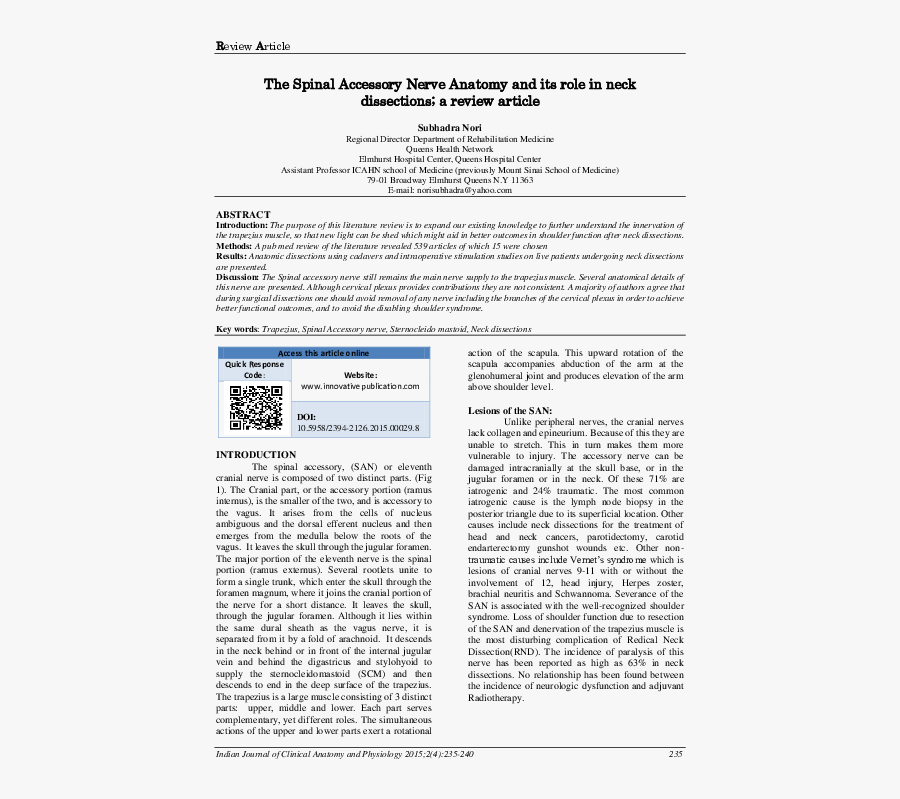 Document, Transparent Clipart