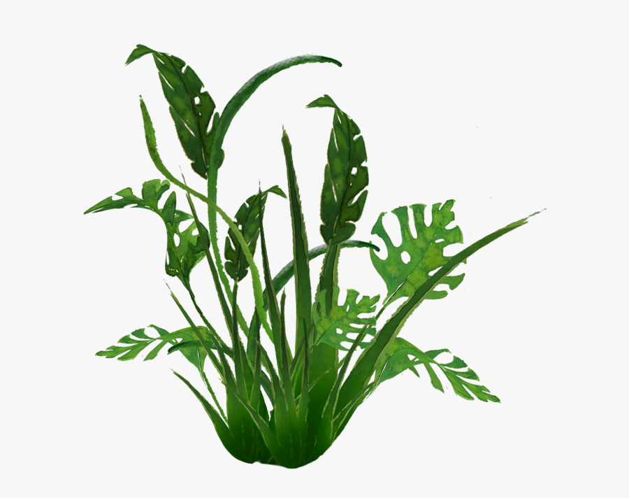 Transparent Jungle Plants Png - Jungle Plants Transparent, Transparent Clipart