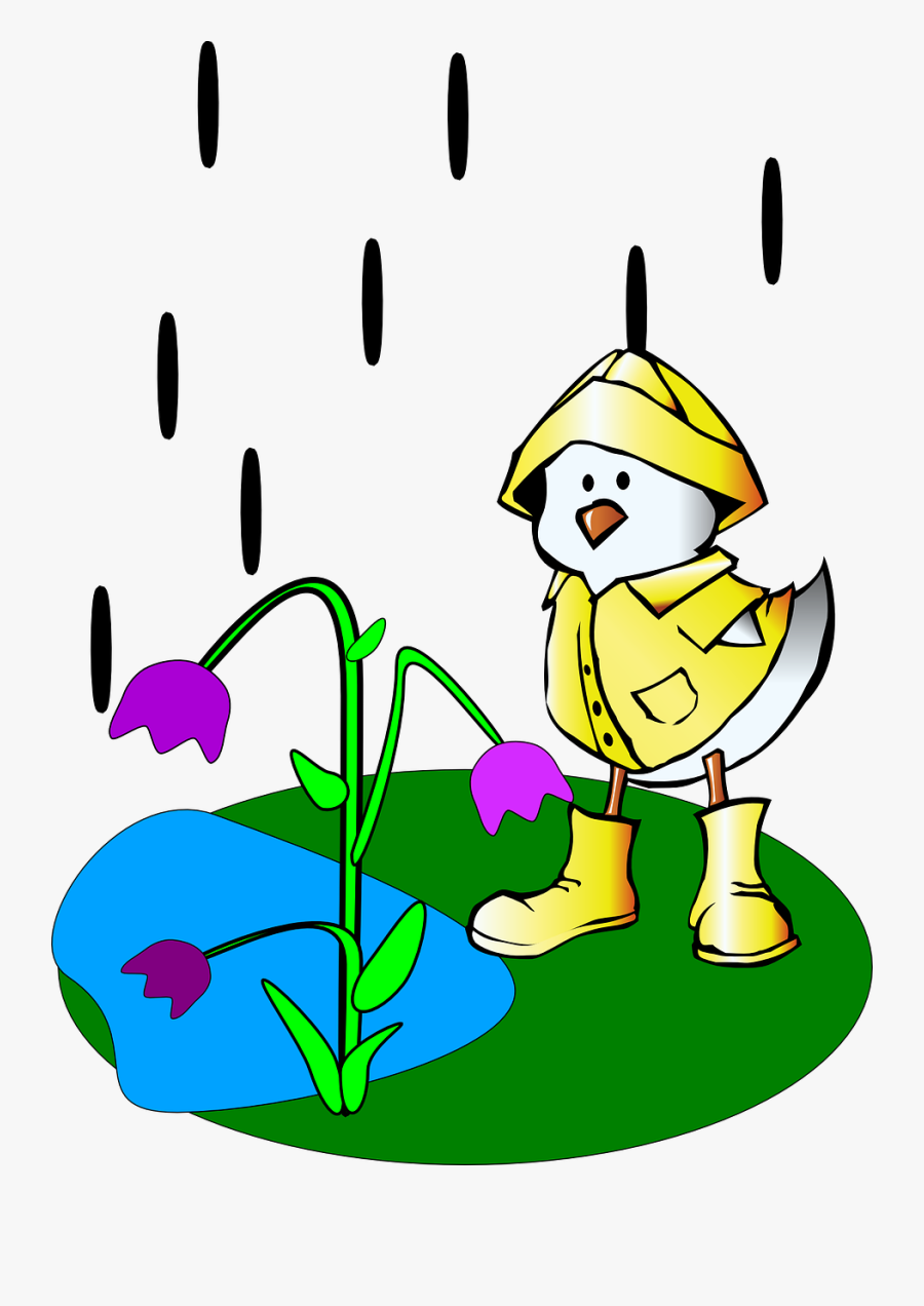 Raining Outdoors Duck Free Picture - Wet Clipart, Transparent Clipart