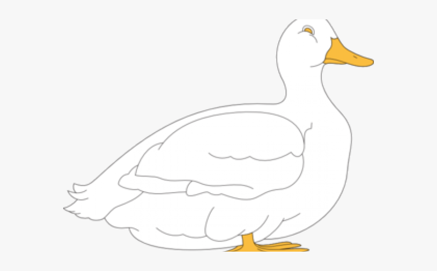 Goose, Transparent Clipart