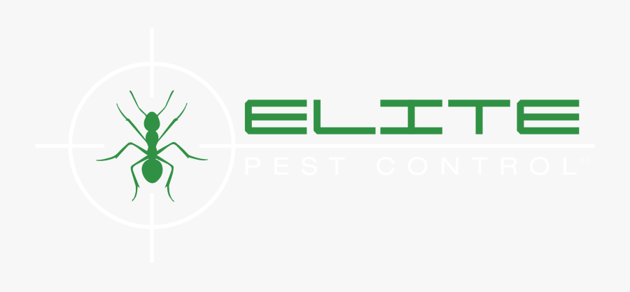 Transparent Cockroaches Png - Pest Control, Transparent Clipart