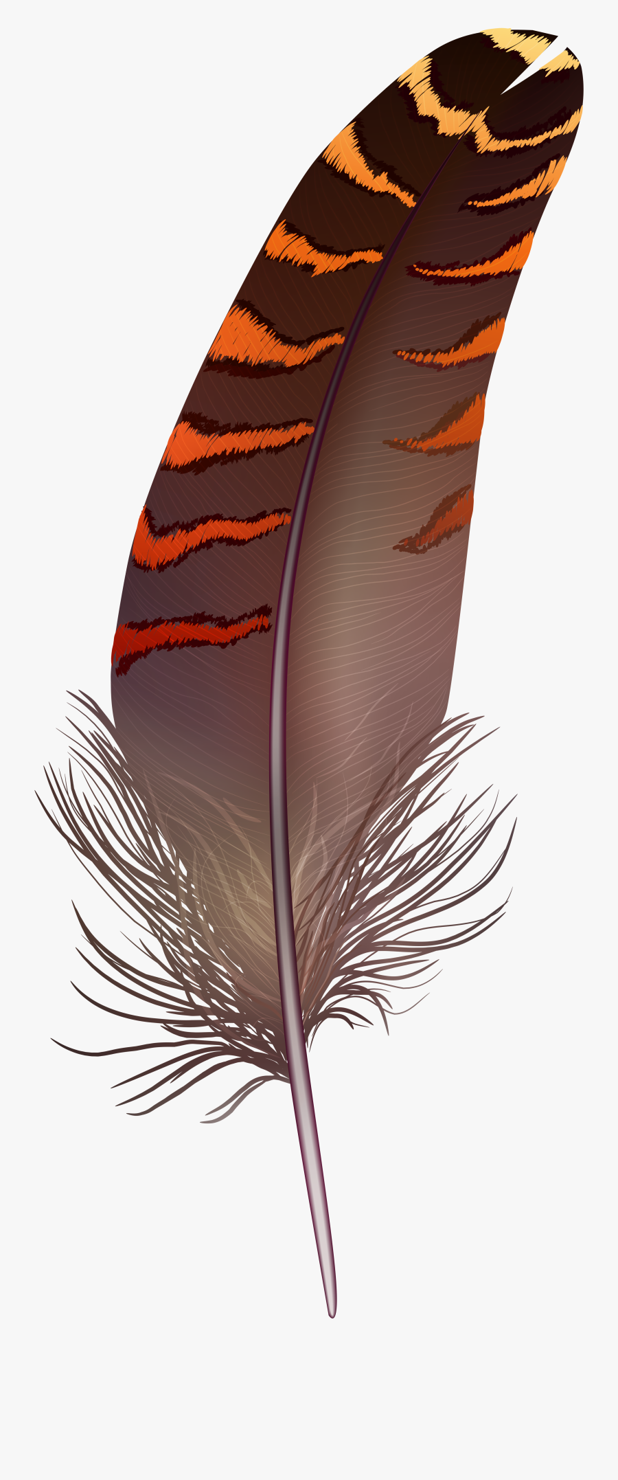 Brown Png Art Gallery - Brown Feather Clipart, Transparent Clipart