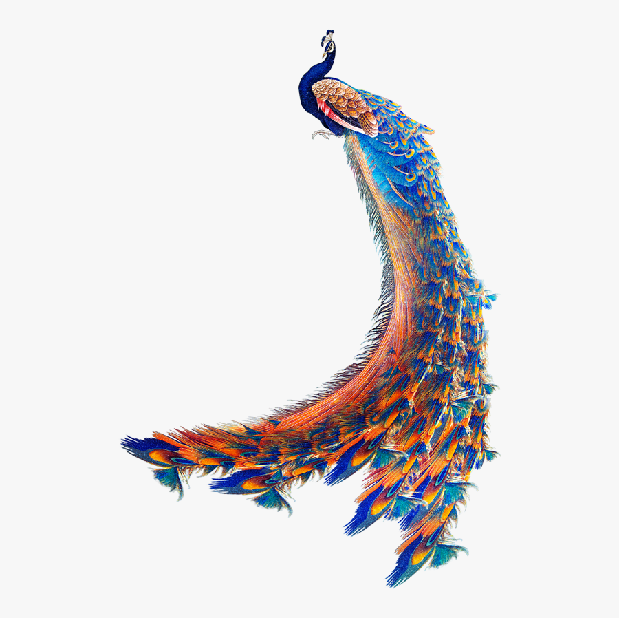Peacock Wallpaper Fantasy, Transparent Clipart