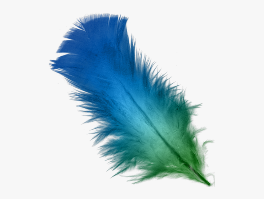 Feather Transparent Background Feathers Png- - Colorful Bird Feathers Png, Transparent Clipart