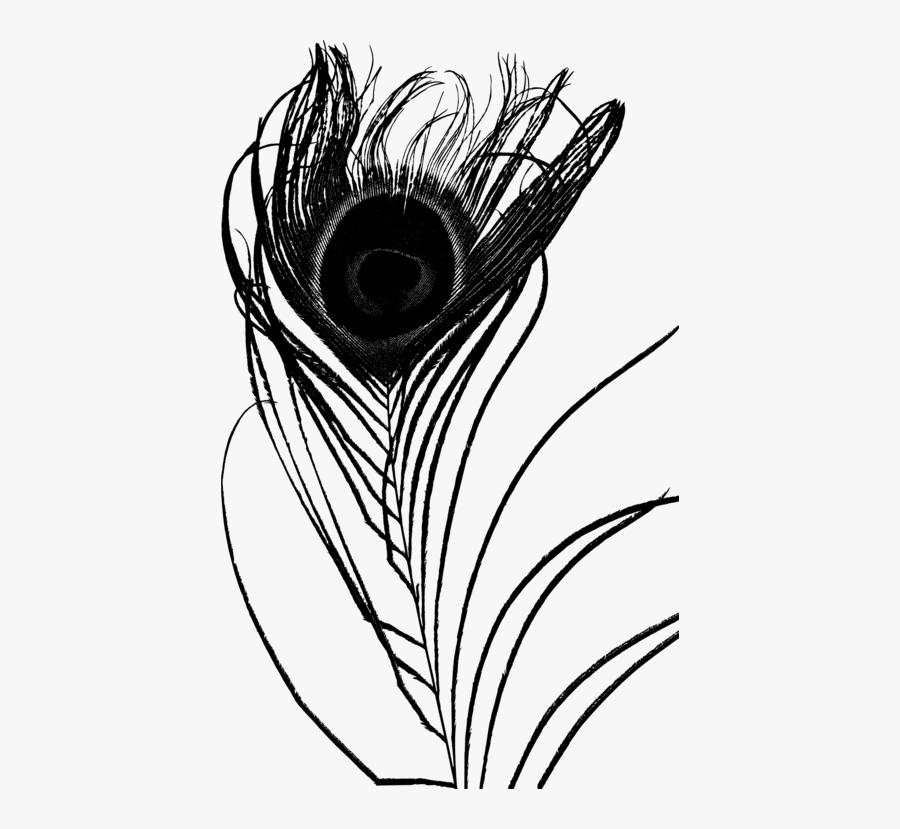 Line Art,eye,coloring Book - Line Art, Transparent Clipart