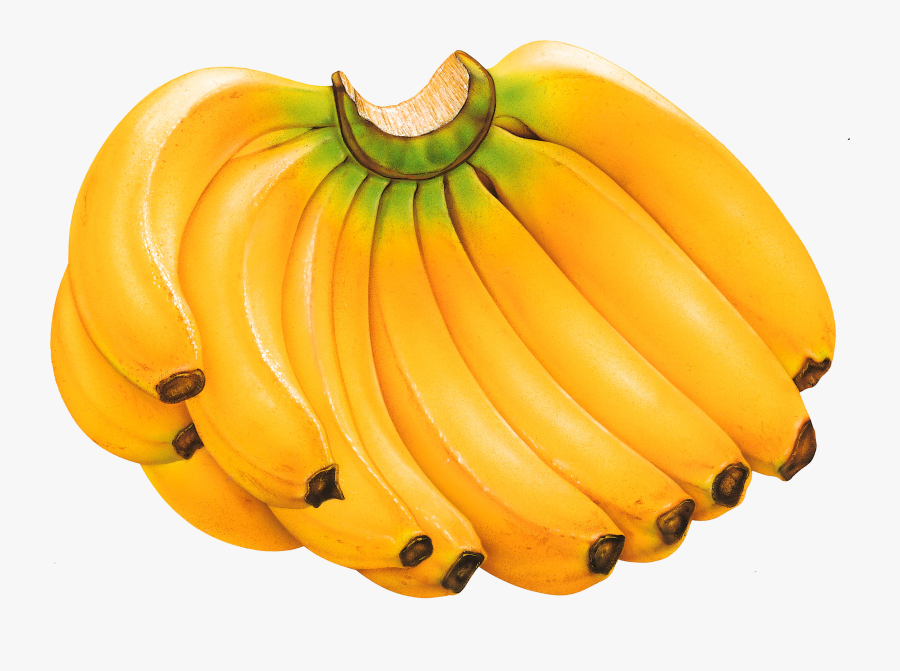 Orange Clipart Banana - Fruits Banana Png, Transparent Clipart