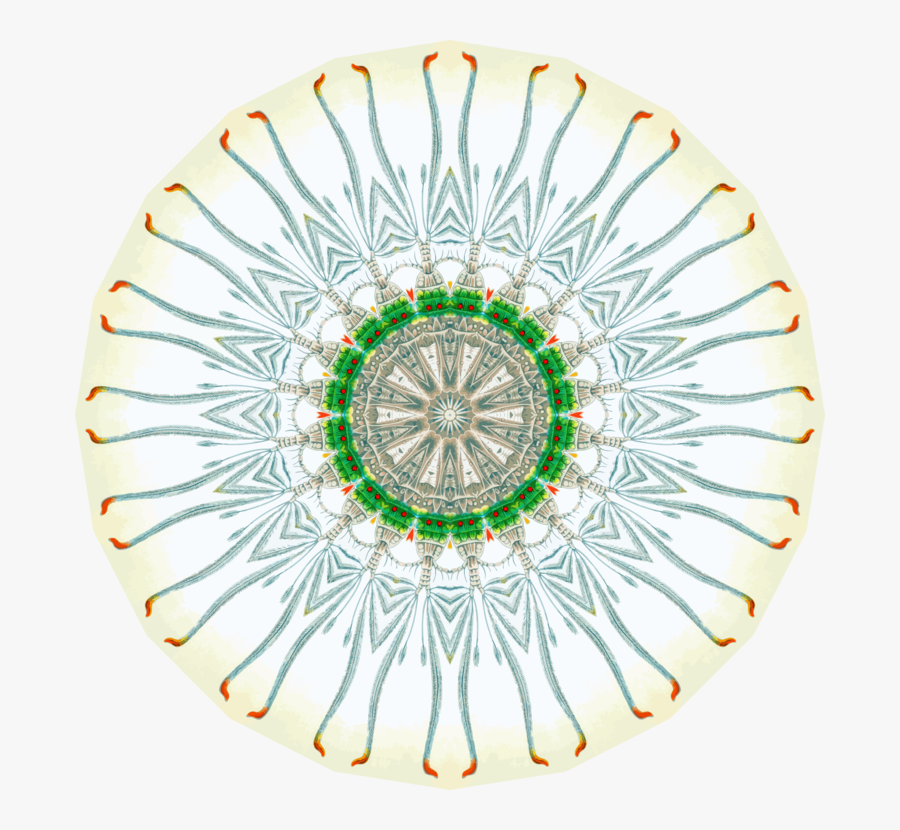 Body Jewelry,plate,tableware - Marshall Red Skins, Transparent Clipart