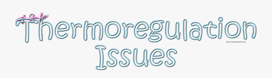 Calligraphy, Transparent Clipart