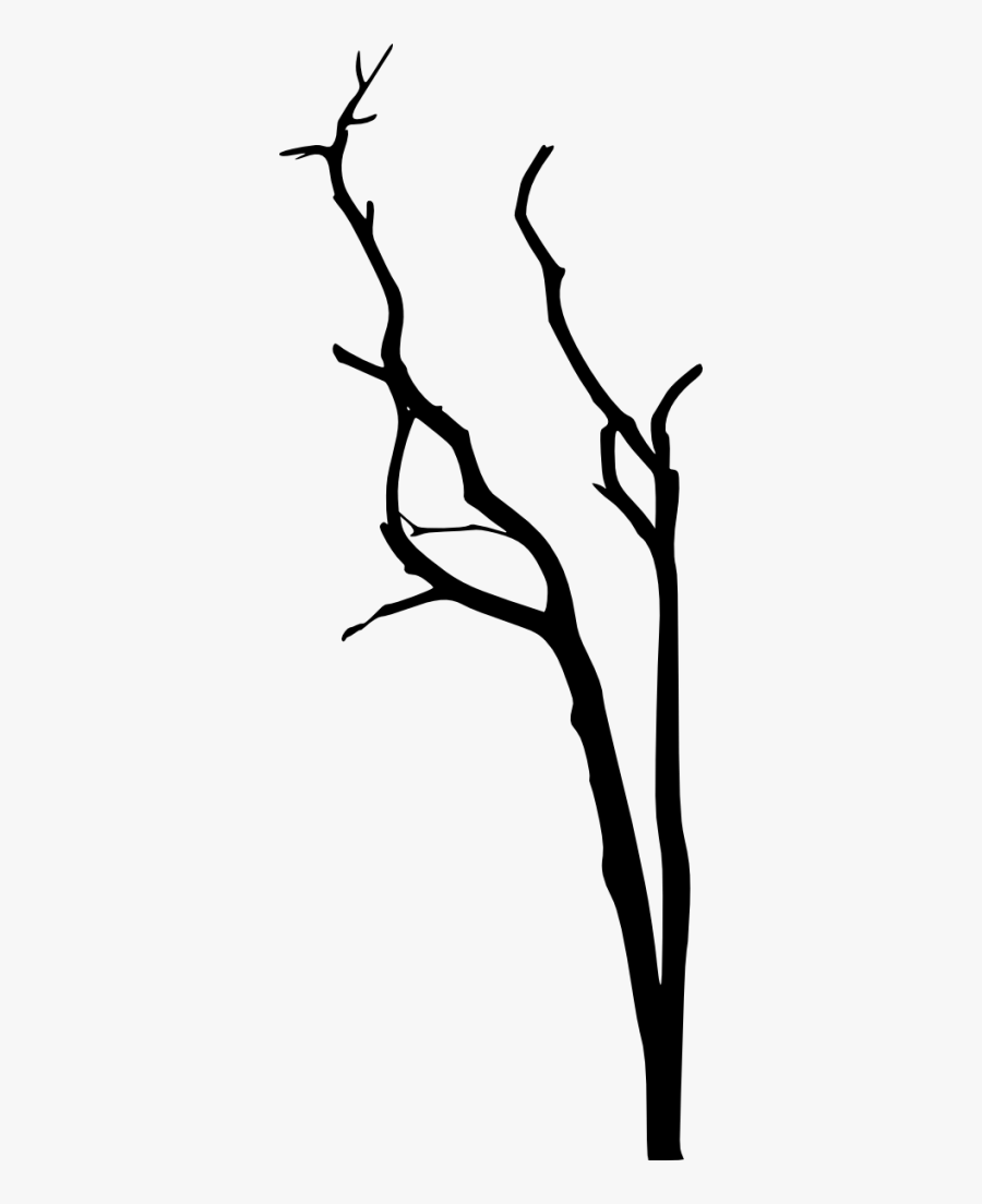 Scary Dead Tree Drawing, Transparent Clipart